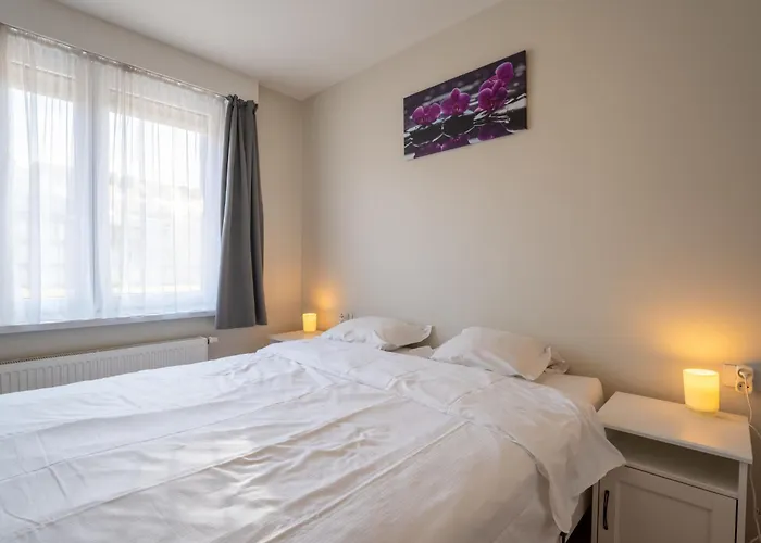 Ruzette With Parking By Interhome Апартаменты Бланкенберге